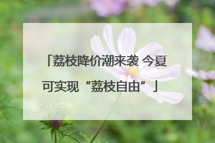荔枝降价潮来袭 今夏可实现“荔枝自由”