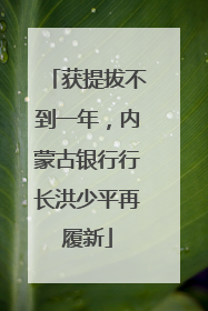 获提拔不到一年，内蒙古银行行长洪少平再履新