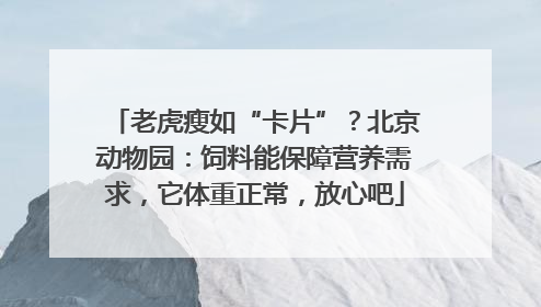 老虎瘦如“卡片”？北京动物园：饲料能保障营养需求，它体重正常，放心吧