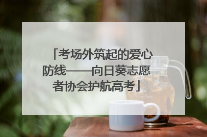 考场外筑起的爱心防线——向日葵志愿者协会护航高考