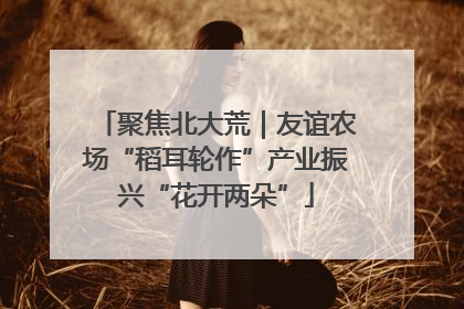 聚焦北大荒｜友谊农场“稻耳轮作”产业振兴“花开两朵”