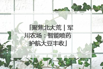 聚焦北大荒｜军川农场：智能喷药护航大豆丰收