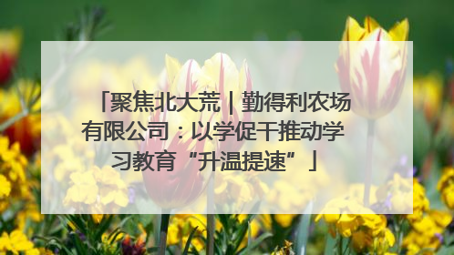 聚焦北大荒｜勤得利农场有限公司：以学促干推动学习教育“升温提速”