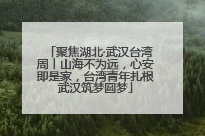 聚焦湖北·武汉台湾周丨山海不为远，心安即是家，台湾青年扎根武汉筑梦圆梦