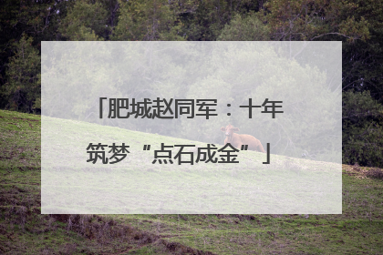 肥城赵同军：十年筑梦“点石成金”