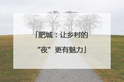 肥城：让乡村的“夜”更有魅力