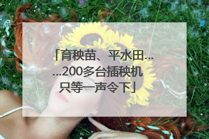 育秧苗、平水田……200多台插秧机只等一声令下