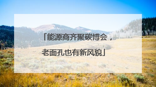 能源商齐聚碳博会，老面孔也有新风貌