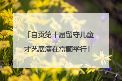 自贡第十届留守儿童才艺展演在富顺举行