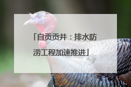 自贡贡井：排水防涝工程加速推进
