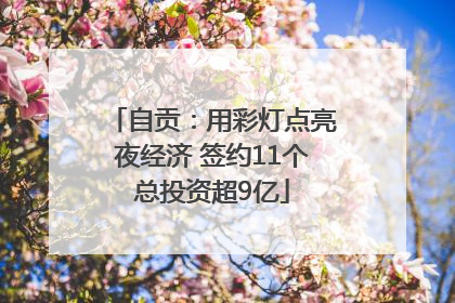 自贡：用彩灯点亮夜经济 签约11个总投资超9亿
