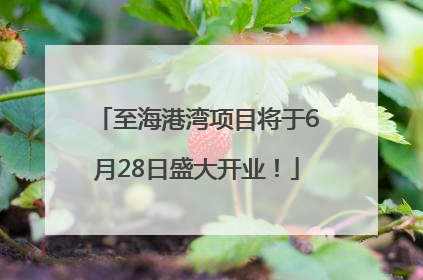 至海港湾项目将于6月28日盛大开业！