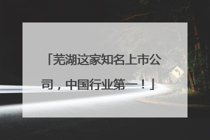 芜湖这家知名上市公司，中国行业第一！