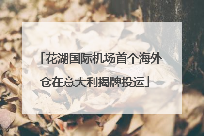花湖国际机场首个海外仓在意大利揭牌投运