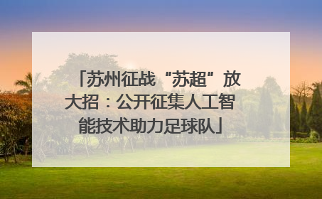 苏州征战“苏超”放大招：公开征集人工智能技术助力足球队