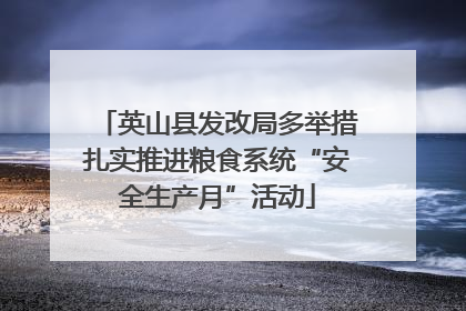 英山县发改局多举措扎实推进粮食系统“安全生产月”活动
