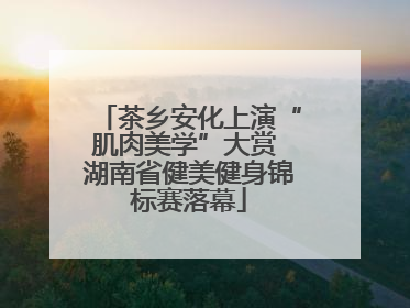 茶乡安化上演“肌肉美学”大赏 湖南省健美健身锦标赛落幕