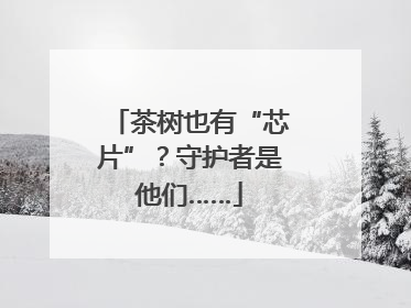 茶树也有“芯片”？守护者是他们……