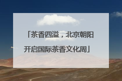 茶香四溢，北京朝阳开启国际茶香文化周