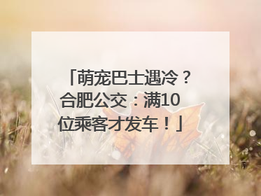 萌宠巴士遇冷？合肥公交：满10位乘客才发车！