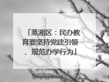蒸湘区：民办教育要坚持党建引领、规范办学行为