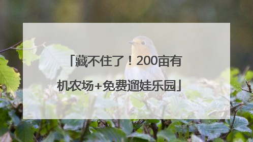 藏不住了！200亩有机农场+免费遛娃乐园