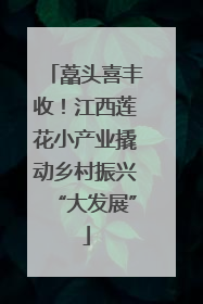 藠头喜丰收！江西莲花小产业撬动乡村振兴“大发展”