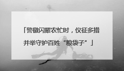 警徽闪耀农忙时，仪征多措并举守护百姓“粮袋子”