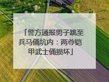 警方通报男子跳至兵马俑坑内：两尊铠甲武士俑损坏
