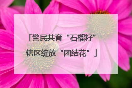警民共育“石榴籽” 辖区绽放“团结花”