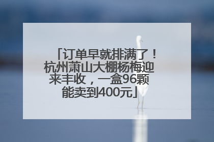 订单早就排满了！杭州萧山大棚杨梅迎来丰收，一盒96颗能卖到400元