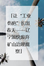 让“工业伤疤”长出春天——辽宁加快废弃矿山治理观察