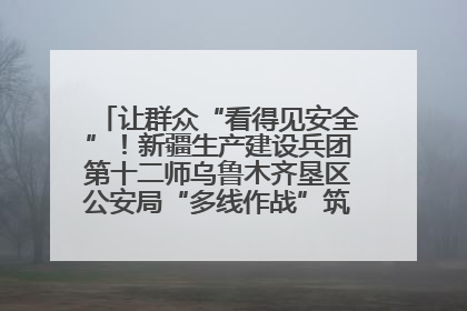 让群众“看得见安全”！新疆生产建设兵团第十二师乌鲁木齐垦区公安局“多线作战”筑牢辖区安全防线