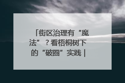 街区治理有“魔法”？看梧桐树下的“破圈”实践｜我在街区当书记