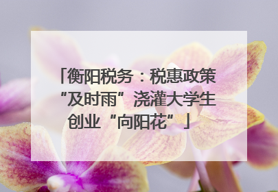 衡阳税务：税惠政策“及时雨”浇灌大学生创业“向阳花”