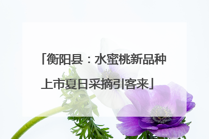 衡阳县：水蜜桃新品种上市夏日采摘引客来