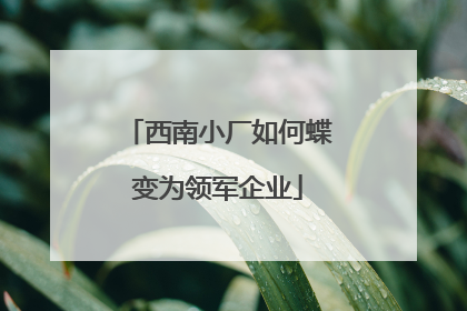 西南小厂如何蝶变为领军企业