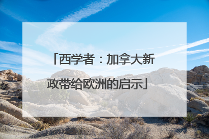 西学者：加拿大新政带给欧洲的启示