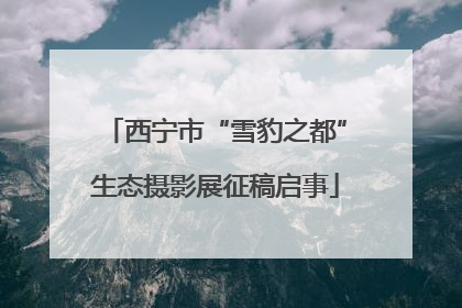 西宁市“雪豹之都”生态摄影展征稿启事