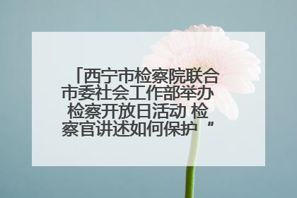 西宁市检察院联合市委社会工作部举办检察开放日活动 检察官讲述如何保护“少年的你”