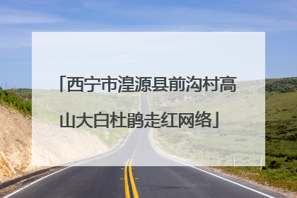 西宁市湟源县前沟村高山大白杜鹃走红网络