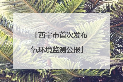 西宁市首次发布氧环境监测公报
