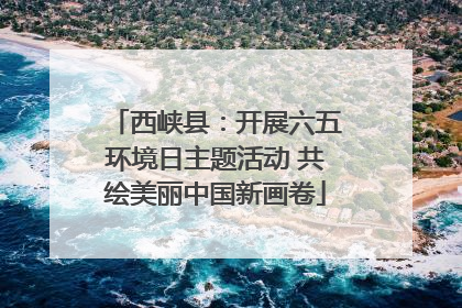 西峡县：开展六五环境日主题活动 共绘美丽中国新画卷