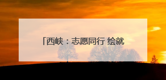 西峡：志愿同行 绘就基层治理“同心圆”