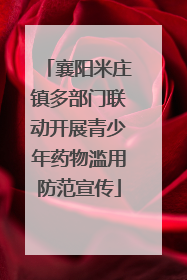 襄阳米庄镇多部门联动开展青少年药物滥用防范宣传