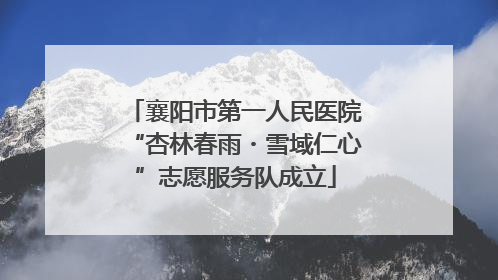 襄阳市第一人民医院“杏林春雨・雪域仁心”志愿服务队成立