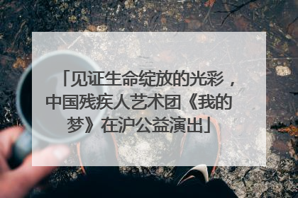 见证生命绽放的光彩，中国残疾人艺术团《我的梦》在沪公益演出