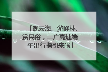 观云海、游峰林、赏民俗，二广高速端午出行指引来啦