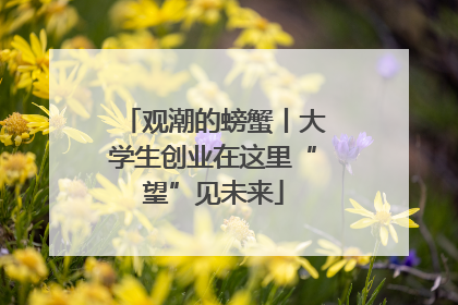 观潮的螃蟹丨大学生创业在这里“望”见未来