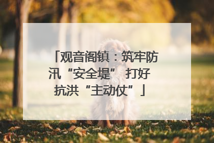 观音阁镇：筑牢防汛“安全堤” 打好抗洪“主动仗”